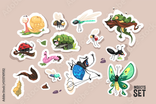 Cartoon insects set