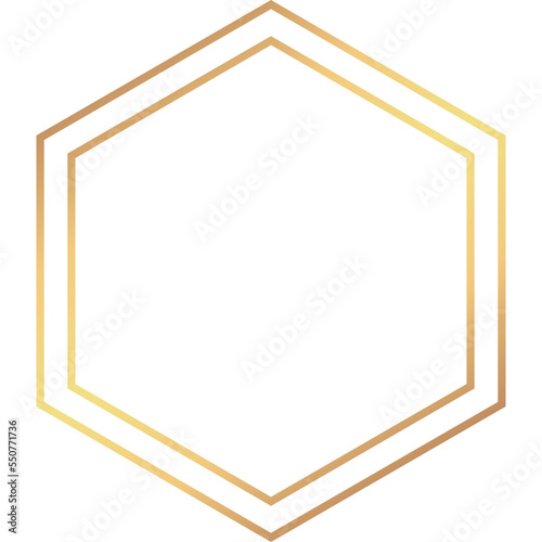 Gold Hexagon Line Frame (10)