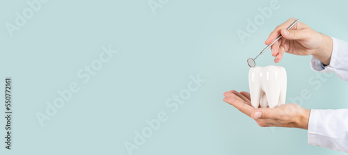 Dental clinic special offer banner. Dentist hands hold a healthy white tooth model and dentist mirror on blue background. Copy space. Teeth care, dental treatment, tooth extraction, implant concept.