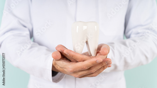 A male dentist holds a healthy tooth model in his hands. Close up. Teeth care and whitening, dental treatment, tooth extraction, implant concept. Hygienist, orthodontist. Dental clinic special offer.