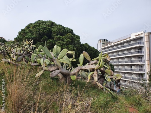 abandoned hotel during the covid epidemic in spain