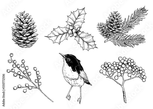 Christmas hand drawn elements set for xmas design. Collection with holly berries, corn, bird and winter botanical. Vintage line art set.  Happy new year vector illustration.