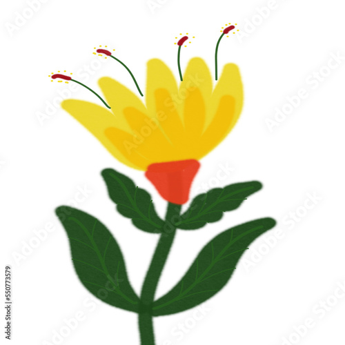 Flower watercolor