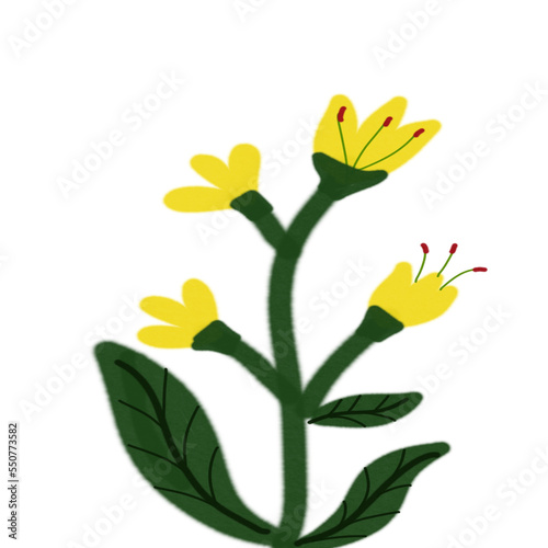 Flower watercolor