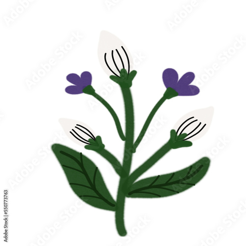 Flower watercolor
