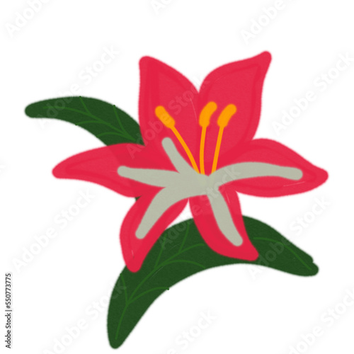 Flower watercolor