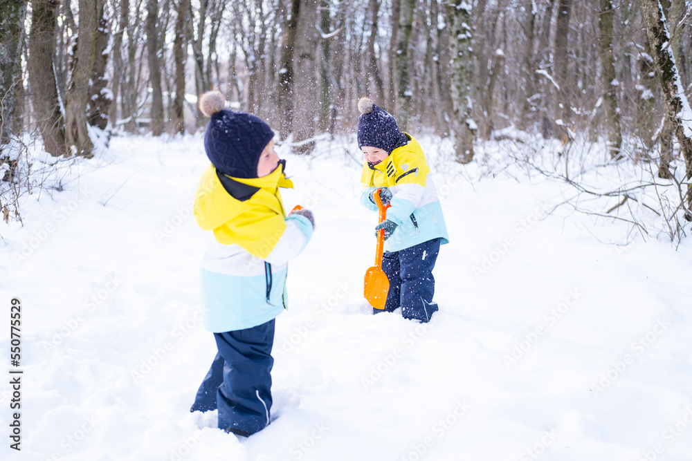Happy twins brothers boys playing with snow in winter nature. Children having fun outdoors