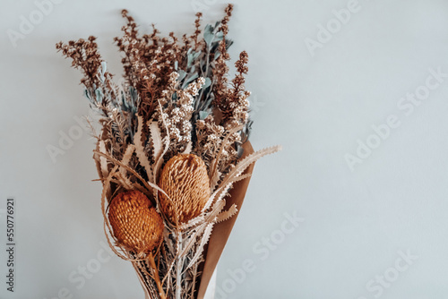 Obraz na płótnie Dried native Australian banksia flowers against a plain backdrop