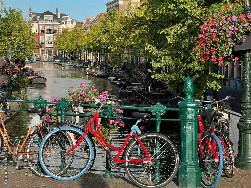 View of bicycles and beautiful plants near canal on city street