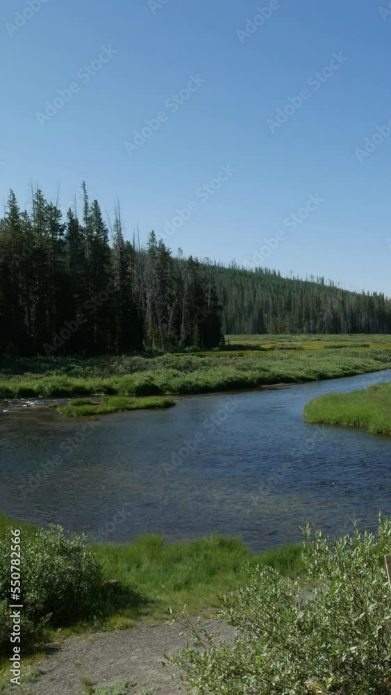 Steady, vertical shot of the Lewis River flowing through verdant plains of Yellowstone National Park