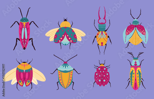Collection of hand drawn bugs or beetles
