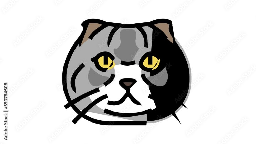 scottish fold cat cute pet color icon animation scottish fold cat cute pet color icon animation