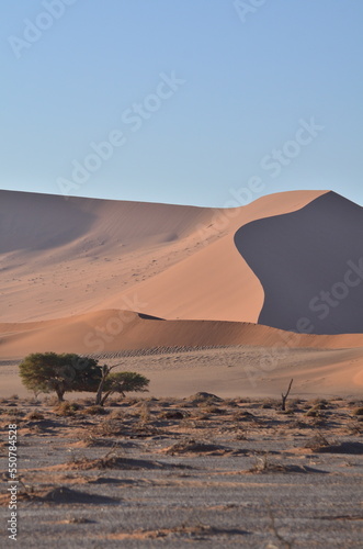 Landscape with dunes in dry pan of Sossusvlei Namib Naukluft National Park