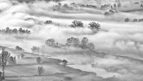 Misty morning in the wetlands, fine art landscape 