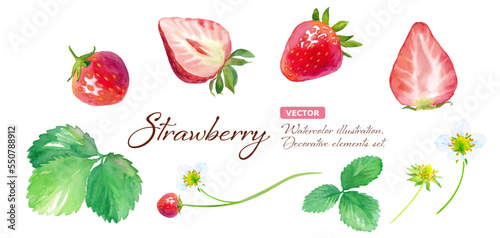 イチゴの水彩イラスト。花、葉、果実のパーツセット（ベクター）