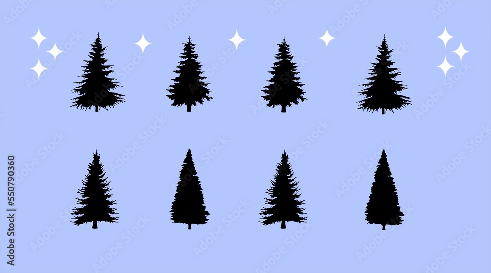 Fototapeta premium Pine tree