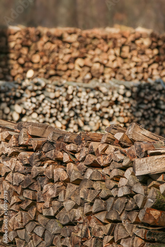 Obraz na płótnie Bois de chauffage w salonie