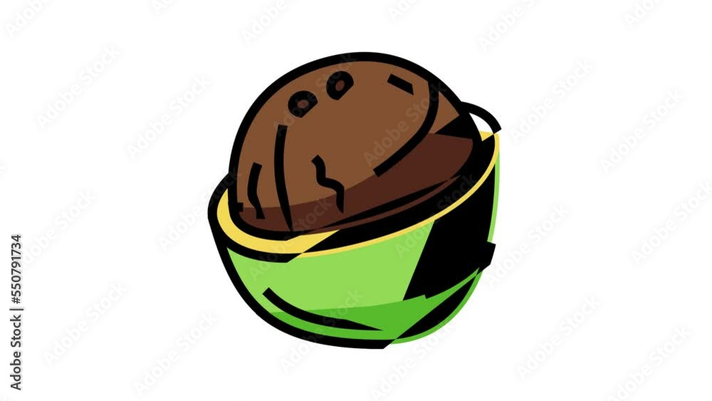 one whole coconut color icon animation one whole coconut color icon animation
