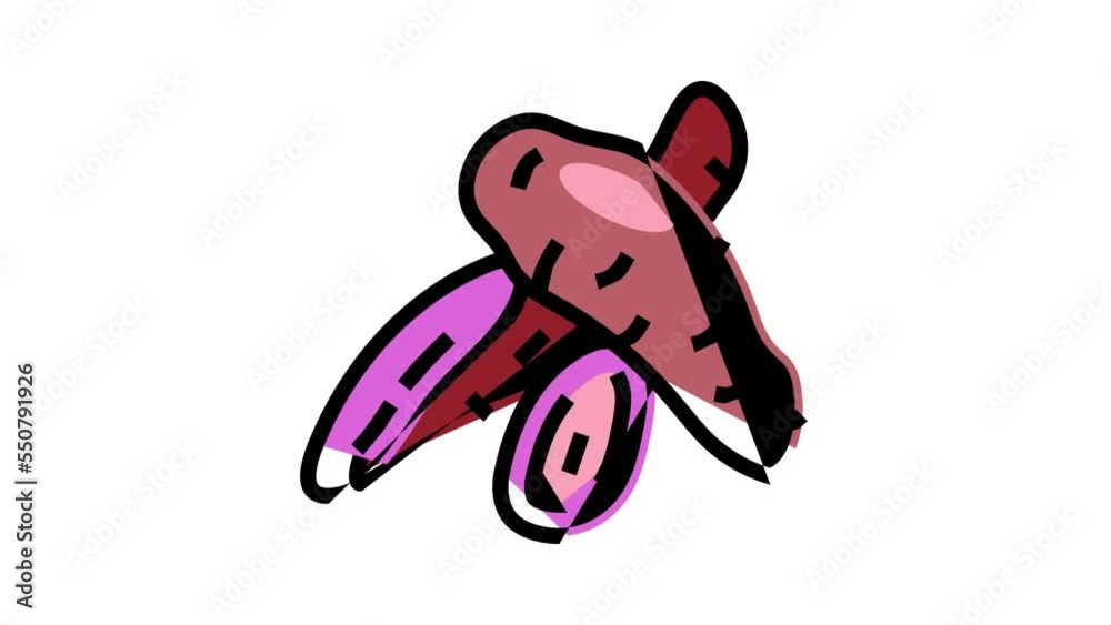 purple sweet potato color icon animation purple sweet potato color icon animation