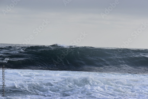 ocean in the winter