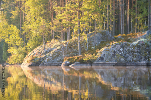 Stone rocks with conifers by the lake in Sweden in Smalland. Nature in Scandinavia photo