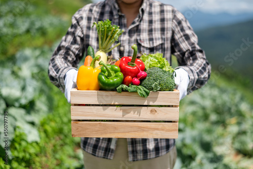 Farmer man holding wooden box full of fresh raw vegetables. Basket with fresh organic vegetable and peppers in the hands..