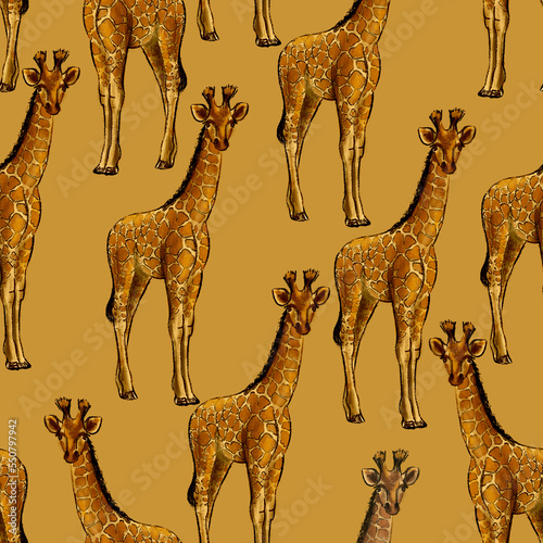 Photography Seamless pattern with African giraffes in sketch technique