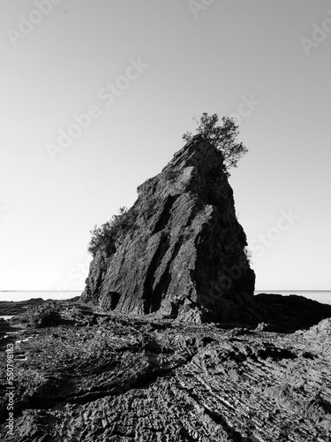 Vertical grayscale of a high cliff on a rough surface in Moutohora Island, New Zealand photo