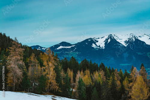 Landschaft / Winter