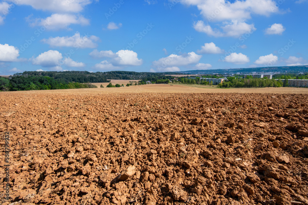 plowed agricultural field and forest on the horizon
