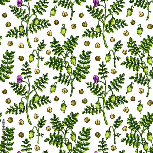 Hand drawn chickpeas seamless pattern. Vector illustration in colored sketch style