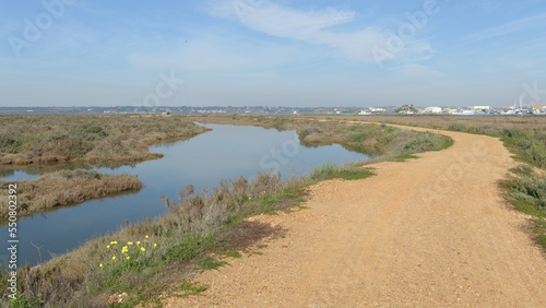 Fototapeta Naklejka Na Ścianę i Meble -  artificial salt marshes