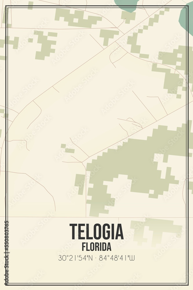 Retro US city map of Telogia, Florida. Vintage street map.
