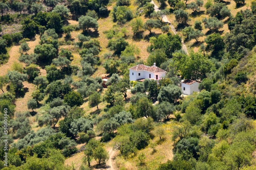 Campos alrededor de Gaucín en el Valle del Genal, Málaga, Andalucía, España Campos alrededor de Gaucín en el Valle del Genal, Málaga, Andalucía, España