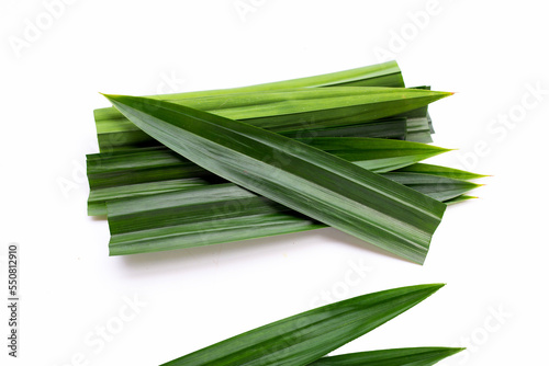 Fresh pandan leaves on white background. photo