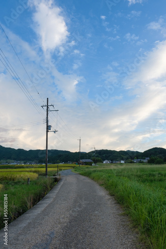 A rural village in autumn in Japan, one road in the rice paddies