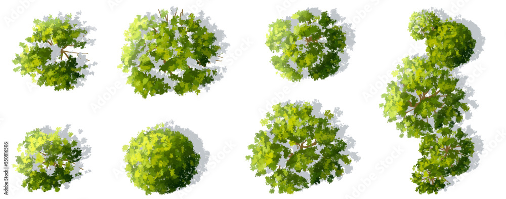 Vector set of tropical green tree top view isolated on white background for landscape and architecture drawing, elements for environment and garden Vector set of tropical green tree top view isolated on white background for landscape and architecture drawing, elements for environment and garden