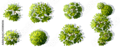 Vector set of tropical green tree top view isolated on white background for landscape and architecture drawing, elements for environment and garden