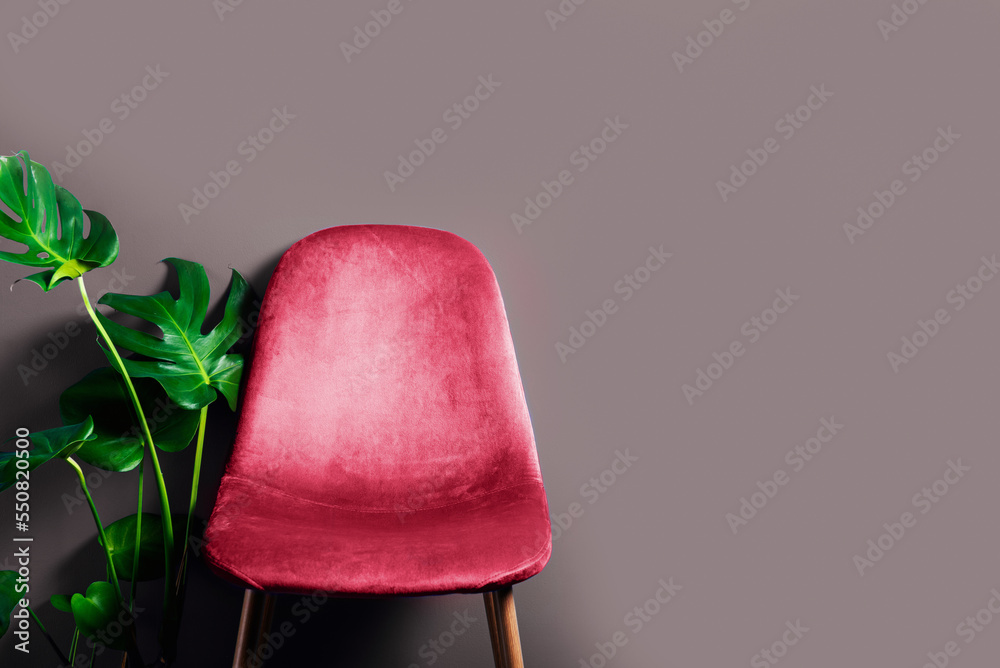 Modern Velour Chair Viva Magenta, color of the year 2023on wooden legs, grey background - obrazy, fototapety, plakaty 