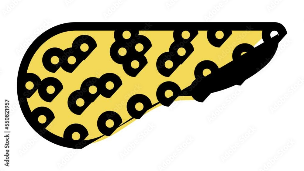 pancreas human color icon animation pancreas human color icon animation