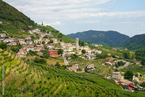 Vineyards along the Road of Prosecco e Conegliano Wines