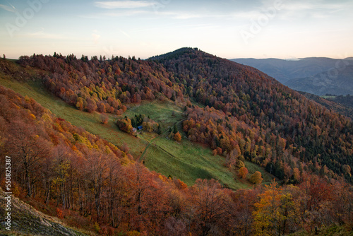 Fototapeta Naklejka Na Ścianę i Meble -  Paysage des Vosges en automne