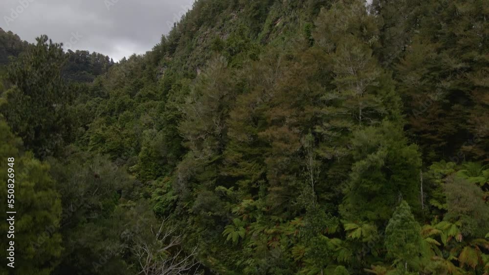 Brown river meandering in between rugged cliffs, covered by a dense rainforest canopy. Fast aerial jib up Brown river meandering in between rugged cliffs, covered by a dense rainforest canopy. Fast aerial jib up