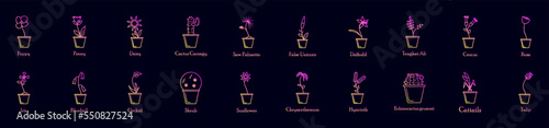 Flower nolan icons collection vector illustration design