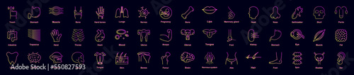 Human organ nolan icons collection vector illustration design