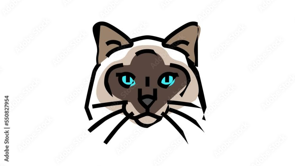 birman cat cute pet color icon animation birman cat cute pet color icon animation