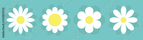 Four white daisy chamomile icon. Camomile set line with shadow. Cute round flower plant collection. Love card symbol. Yellow circle. Growing concept. Flat design. Green background. Isolated.