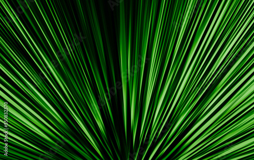 Splash Light Creative Background with a variety of modern and contemporary color combinations - flash abstract background
