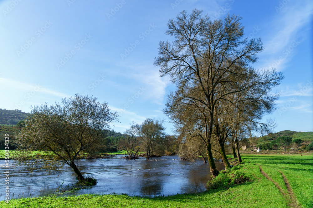 field of trees along a river showing their autumn colours field of trees along a river showing their autumn colours