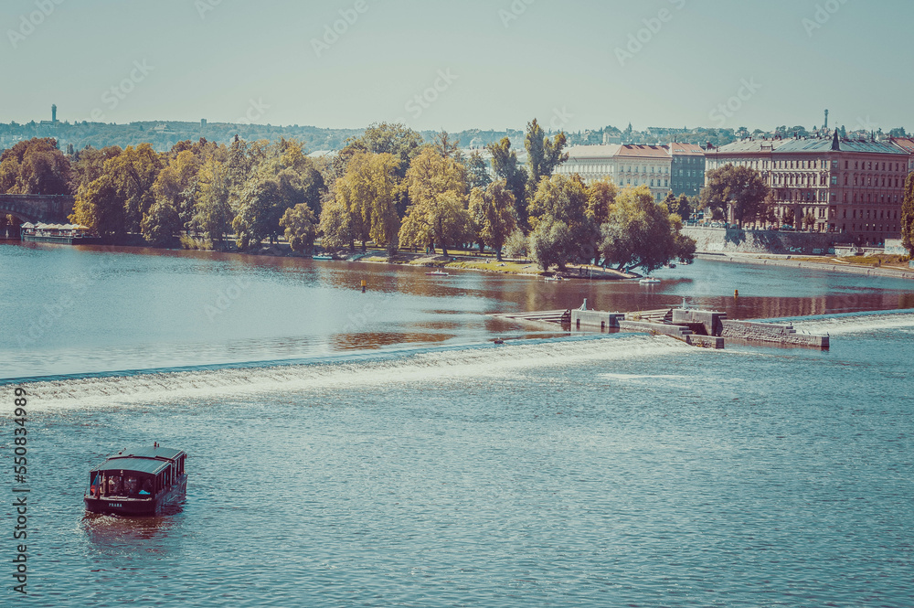 Naklejka premium pool in the park